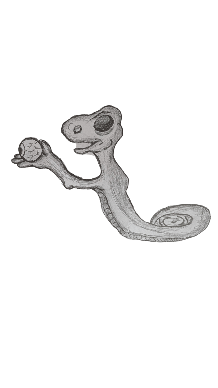 Lizard image